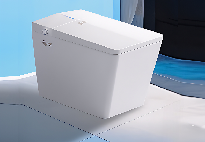 Western Toilet Installation